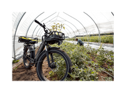 RadRover™ 6 Plus Electric Fat Tire Bike