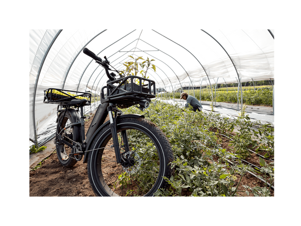 RadRover™ 6 Plus Electric Fat Tire Bike