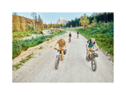 RadRover™ 6 Plus Electric Fat Tire Bike