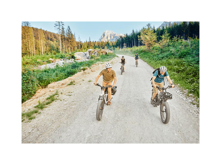 RadRover™ 6 Plus Electric Fat Tire Bike