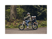 RadWagon™ 4 Electric Cargo Bike