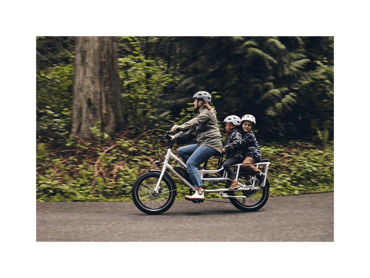 RadWagon™ 4 Electric Cargo Bike