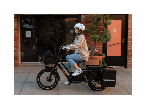 RadWagon™ 5 Electric Cargo Bike