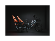 RadWagon™ 5 Electric Cargo Bike