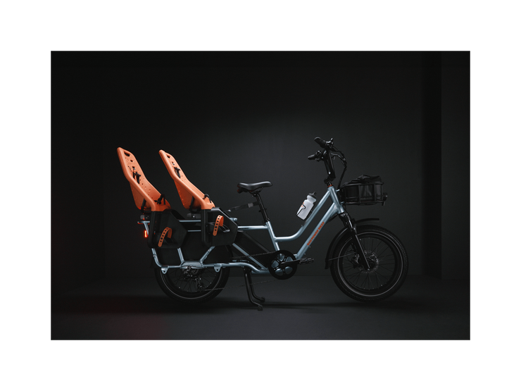 RadWagon™ 5 Electric Cargo Bike